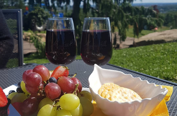 Magnetic Hill Winery Patio Experience