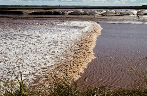 Tidal Bore