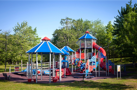 Centennial Park Play Structure