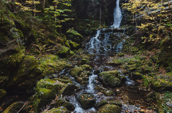Dickson Falls, Fundy National Park