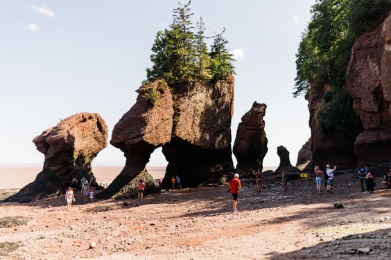 Hopewell Rocks at Low Tide