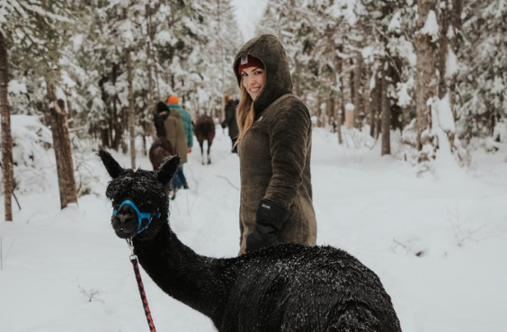 Llama-zing Adventures Winter Walk