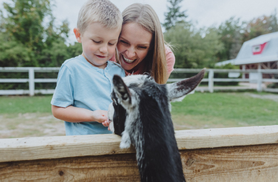 Magnetic Hill Zoo