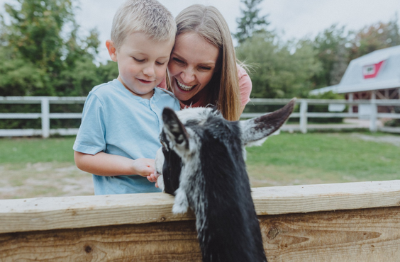 Zoo de Magnetic Hill