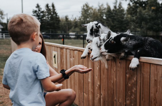 Magnetic Hill Zoo - Petting Zoo