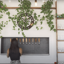 Tire Shack Brewing Co.