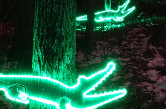 Wild Lights at the Zoo
