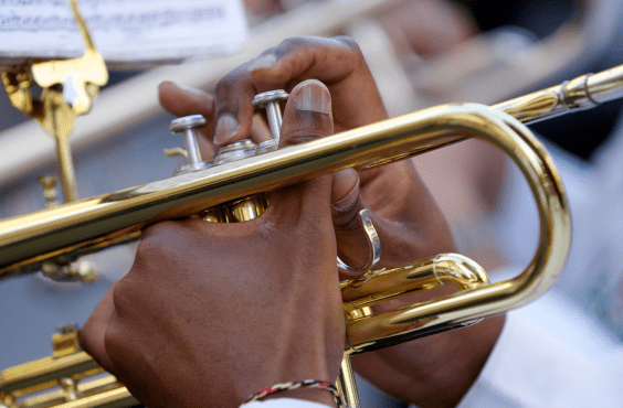 Acoustica Summer Concert Series 2024 - LAST CALL!