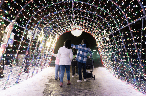 Zoo en lumières