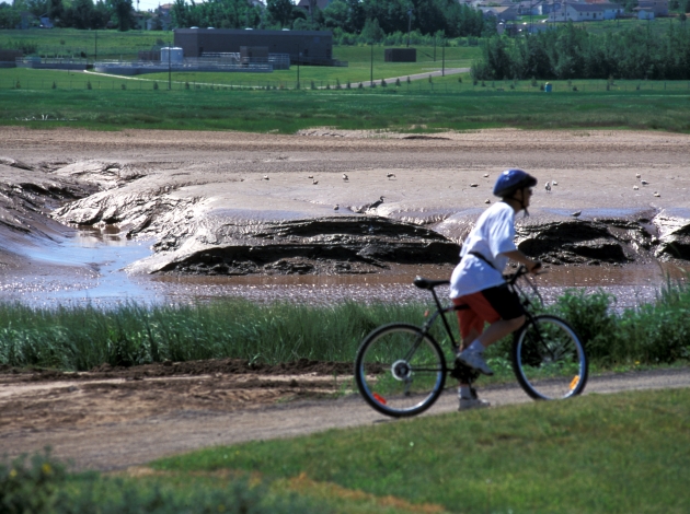 Bike Rentals