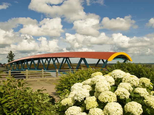 Image Gallery