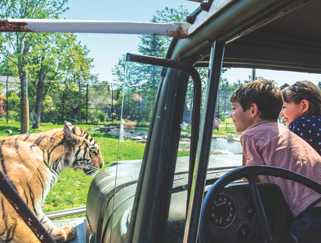 Magnetic Hill Zoo