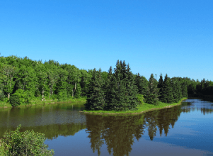 Centennial Park