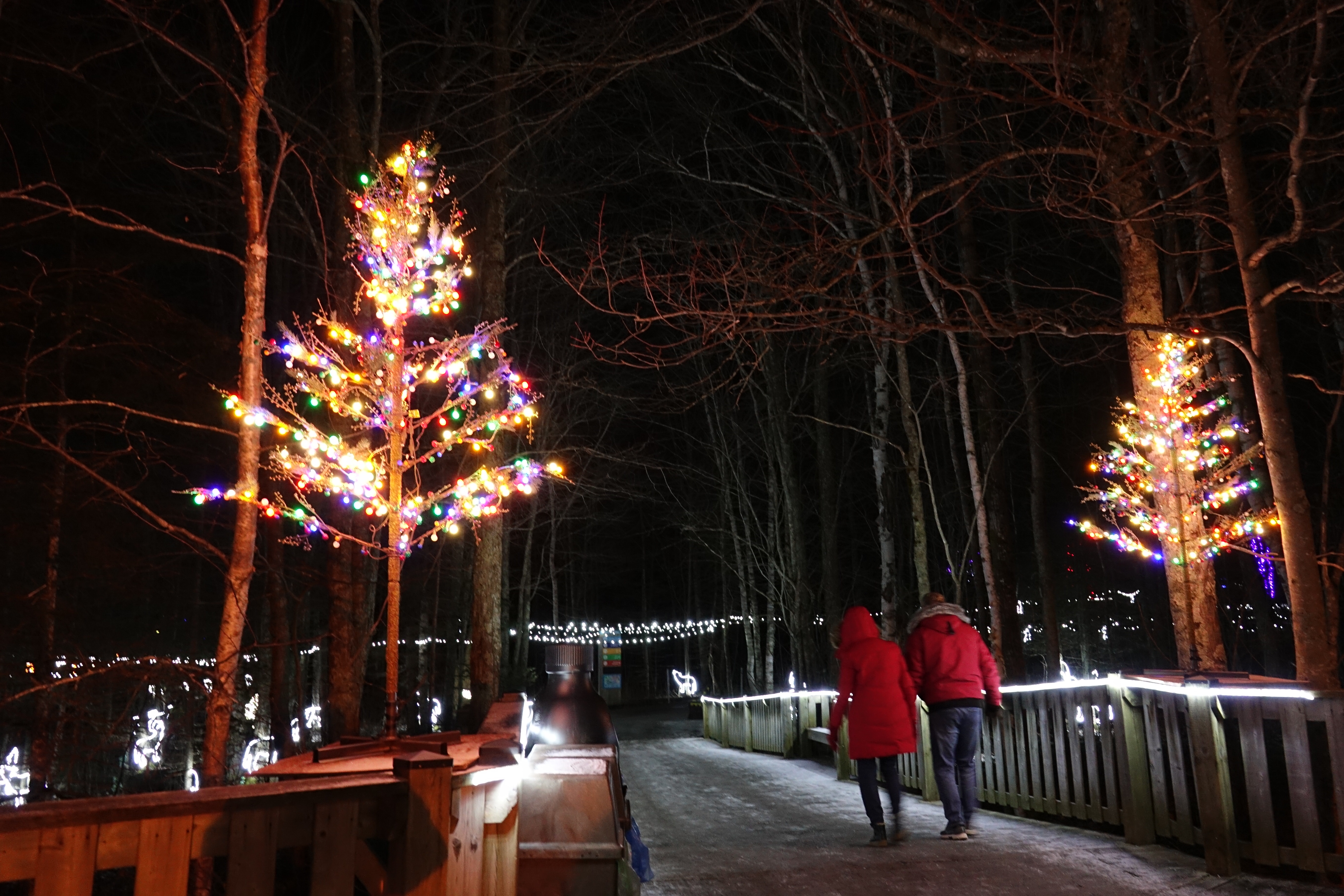 Magnetic Hill Zoo Wild Lights - December 10, 2020 – January 2, 2021