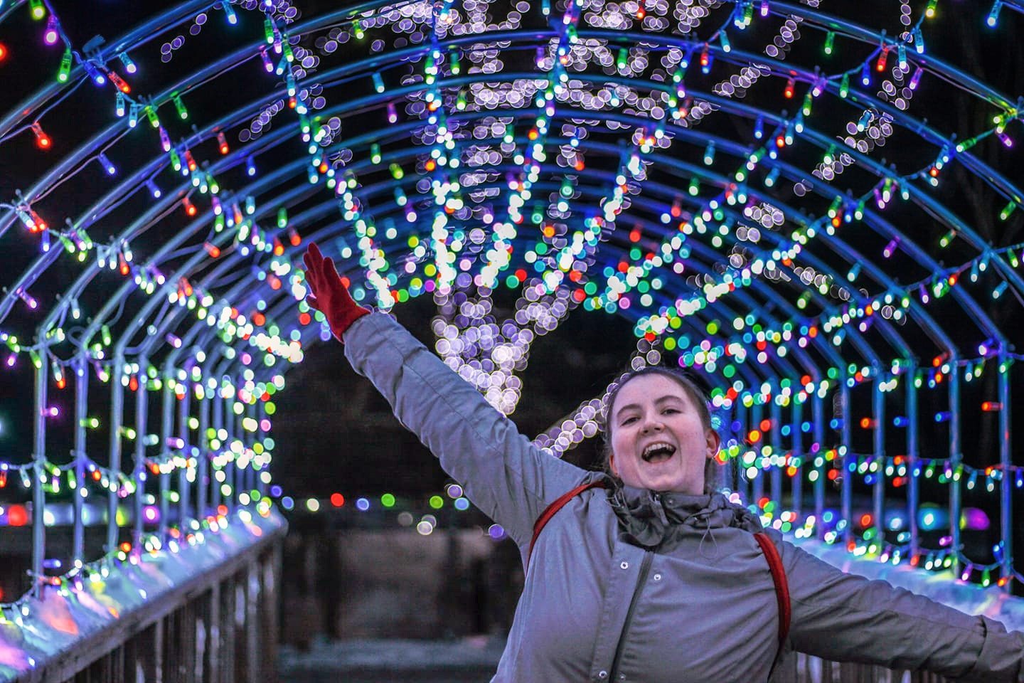 Magnetic Hill Zoo Wild Lights