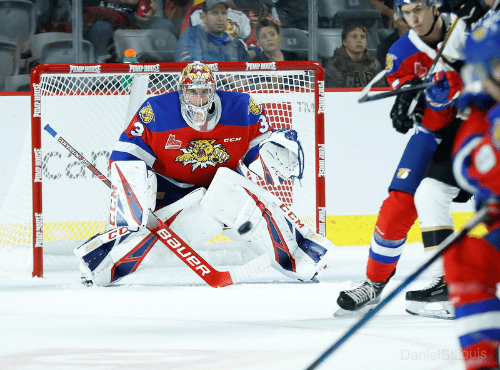 Moncton Wildcats