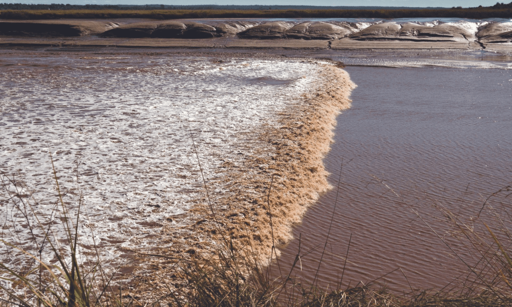 The Tidal Bore in Moncton